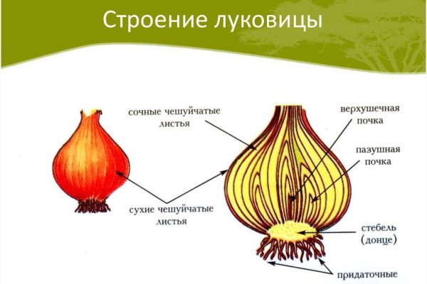 Кракен сайт упал