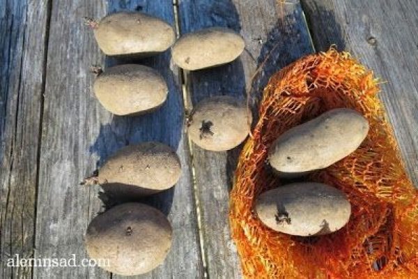 Кракен маркетплейс актуальные ссылки