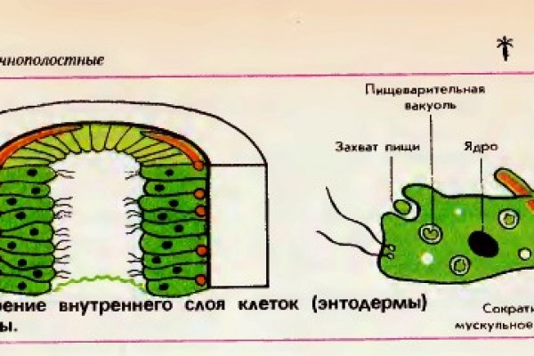 Kraken обход блокировок