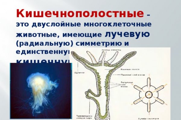 Кракен даркнет актуальная ссылка