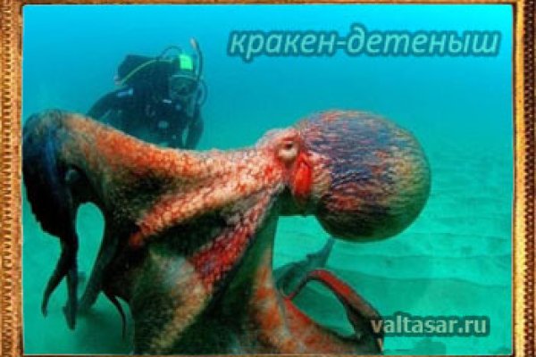 Кракен zerkalo pw