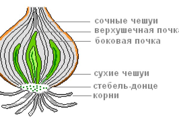 Сайт кракен тор браузера